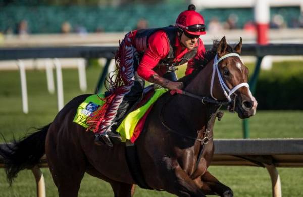 Classic Empire Odds of Winning Belmont Stakes – Payout Near 2-1