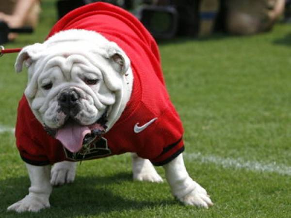 College Football Betting Online College Football Betting Online