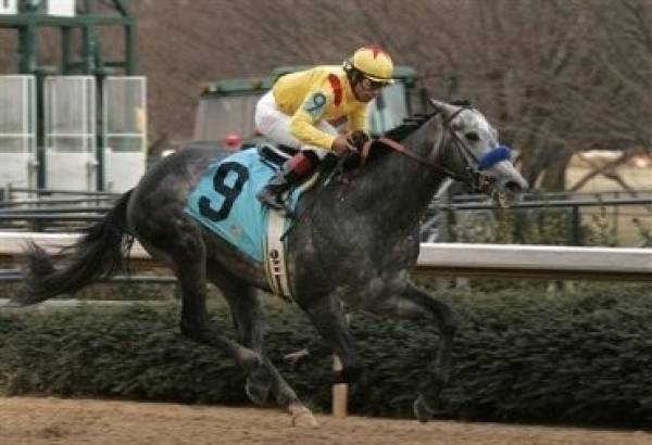 Conveyance 2010 Kentucky Derby Odds