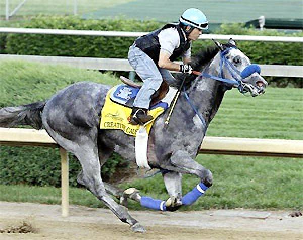 Creative Cause Kentucky Derby Betting Odds (Video)