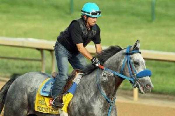 Creative Cause at 8 to 1 Odds to Win the Preakness Stakes Creative Cause at 8 to 1 Odds to Win the Preakness Stakes