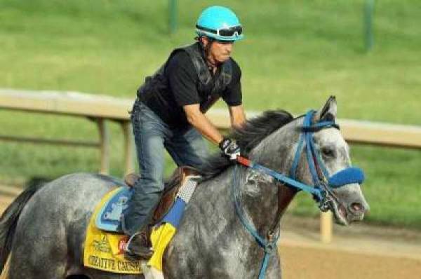 Creative Cause at 8 to 1 Odds to Win the Preakness Stakes