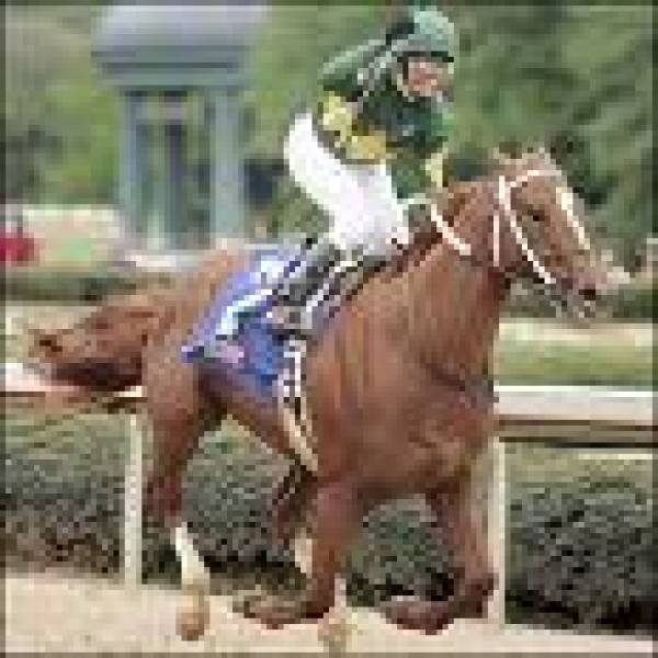 Curlin Curlin