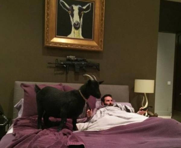 Dan Bilzerian Never Wanted a Real Life: Caught in Bed With a Goat