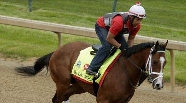 Danzig Moon Preakness Stakes Odds