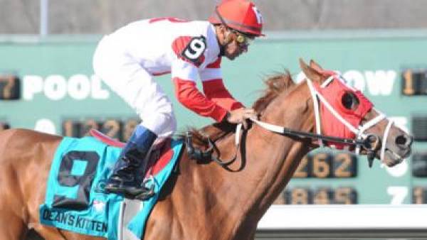 Dean’s Kitten Kentucky Derby Odds