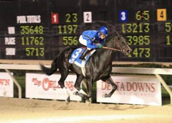 Decisive Moment Odds to Win Kentucky Derby Decisive Moment Odds to Win Kentucky Derby