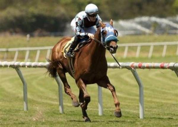 Del Mar Handicap 2012 Odds:  Interaction Pays 3-1 Odds