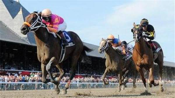 Delta Jackpot 2012 Betting Odds: Goldencents, Bern Identity Favorites Delta Jackpot 2012 Betting Odds: Goldencents, Bern Identity Favorites