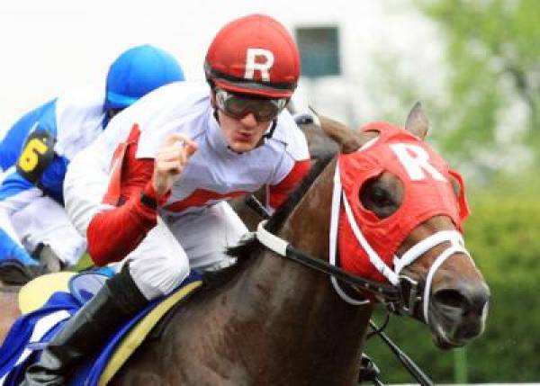 Derby Kitten Odds to Win The 137th Kentucky Derby Derby Kitten Odds to Win The 137th Kentucky Derby