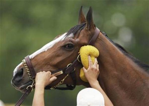 Kentucky Derby 2010 Favorites 