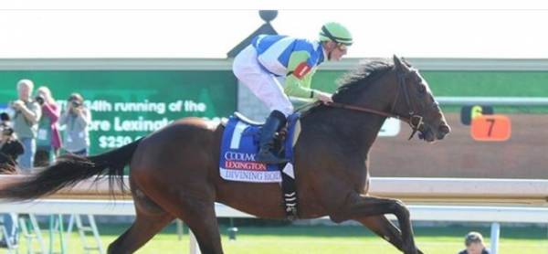 Divining Rod Preakness Stakes Odds Divining Rod Preakness Stakes Odds