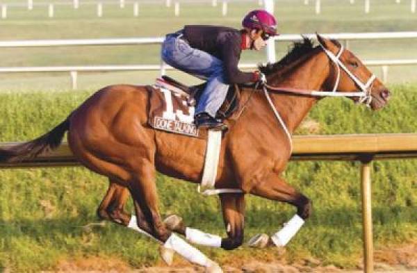Done Talking Odds to Win The Kentucky Derby at 35 to 1 Done Talking Odds to Win The Kentucky Derby at 35 to 1