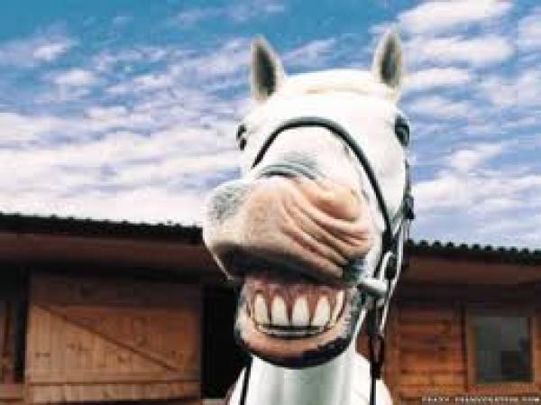 Top Gambling News: CNN on Internet Gambling, Donkey Bomber’s WSOP Bracelet Top Gambling News: CNN on Internet Gambling, Donkey Bomber’s WSOP Bracelet