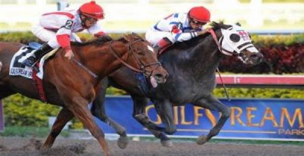 Donn Handicap 2012 Odds Donn Handicap 2012 Odds