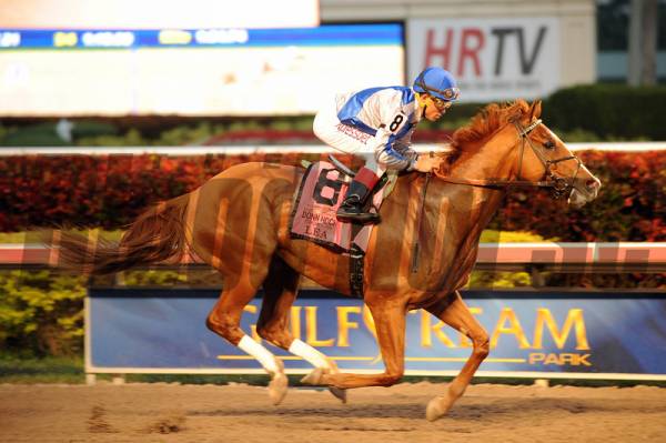 Donn Handicap Betting Odds – 2015 Donn Handicap Betting Odds – 2015