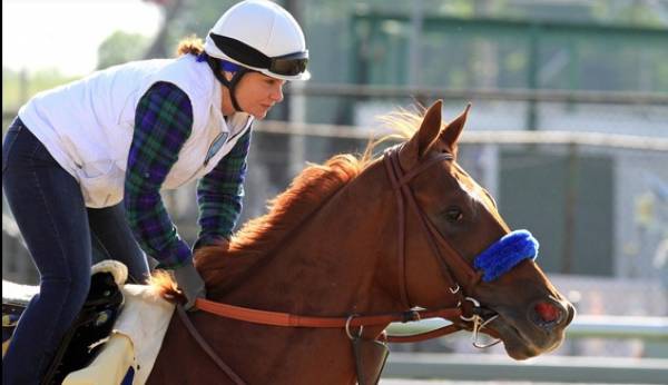 Preakness Stakes 2015 Morning Odds: Dortmund Now Favored Over Firing Line Preakness Stakes 2015 Morning Odds: Dortmund Now Favored Over Firing Line