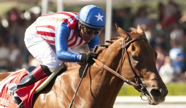Dortmund Odds for the Preakness Now 5-1 Dortmund Odds for the Preakness Now 5-1