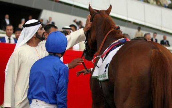 Where Can I Bet the Dubai World Cup Online? Where Can I Bet the Dubai World Cup Online?