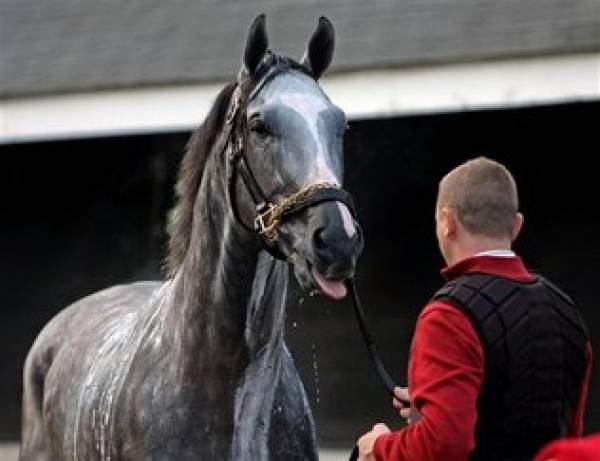 Dunkirk Kentucky Derby Odds