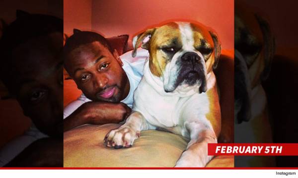 Dwyane Wade Baby Momma Drama, Gabrielle Union and the Heat Odds
