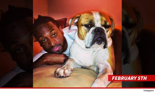 Dwyane Wade Baby Momma Drama, Gabrielle Union and the Heat Odds Dwyane Wade Baby Momma Drama, Gabrielle Union and the Heat Odds