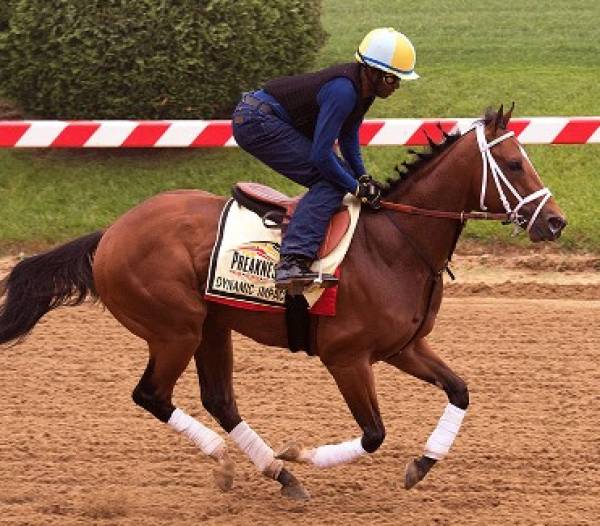 Dynamic Impact Odds to Win the Preakness Stakes: Beyer Speed Among Highest