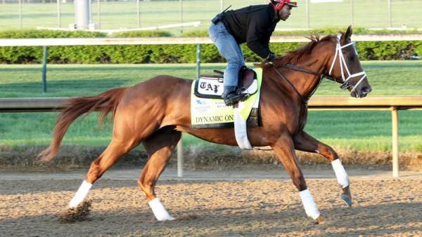Dynamic One Payout Odds to Win the Kentucky Derby