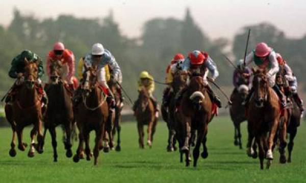 Ebor Handicap Betting Odds – 2011