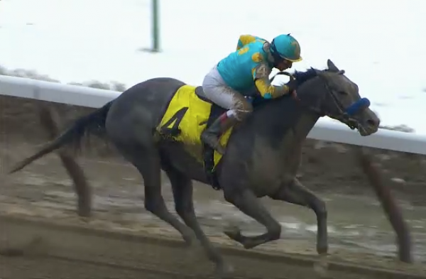 El Kabeir Odds to Win the Kentucky Derby El Kabeir Odds to Win the Kentucky Derby
