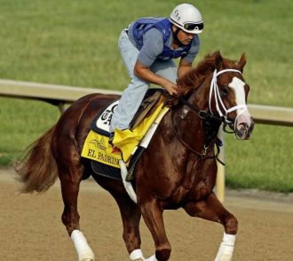 El Padrino at 20 to 1 Odds to Win the 2012 Kentucky Derby El Padrino at 20 to 1 Odds to Win the 2012 Kentucky Derby