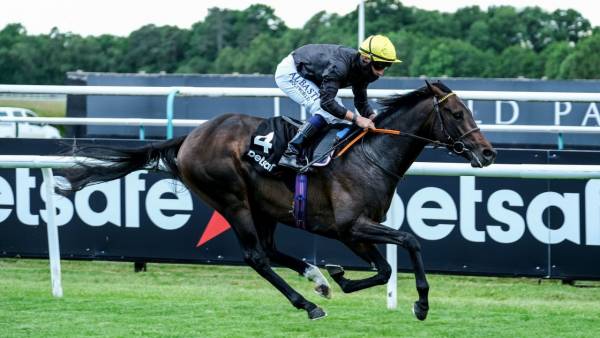 2020 Investec Derby Betting Odds 