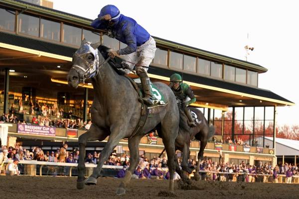 Essential Quality Payout Odds to Win the Belmont Stakes