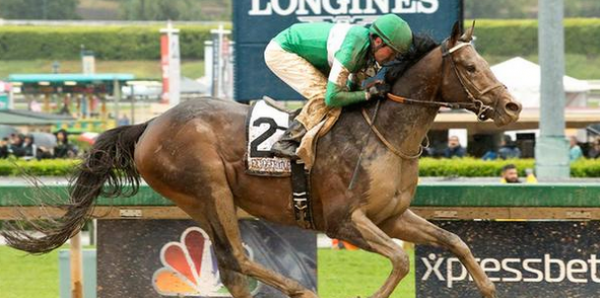 Exaggerator Position Draw Eleven Odds – 2016 Kentucky Derby