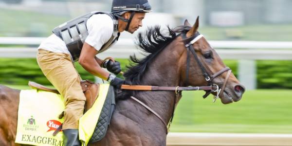 Why Bet on Exaggerator to Win This Year’s Kentucky Derby 