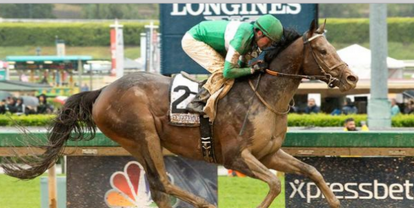Why Bet Exaggerator to Win the 2016 Preakness? Rain in Forecast  