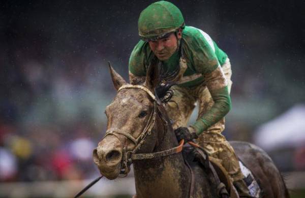 Exaggerator Odds to Win the Preakness Stakes: Top Mudder With Rain Likely