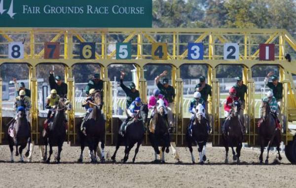 Where Can I Bet on Fair Grounds Races Online? 