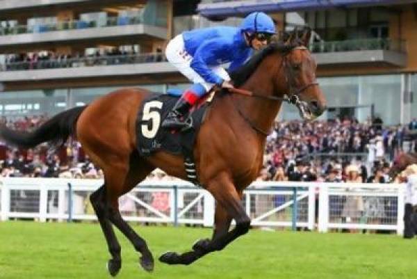 Farhh Odds to Win 2012 Eclipse Stakes at 3-1, Co-Favorite With Nathaniel