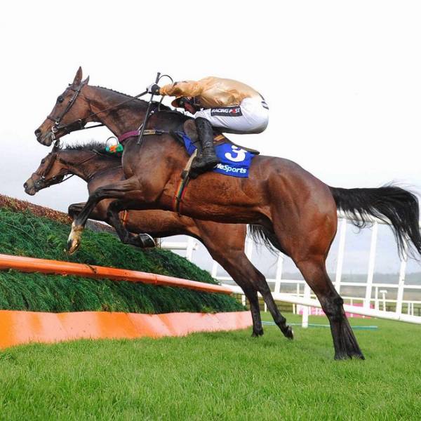 Tied Cottage Chase 2016 Betting Odds – Punchestown 15:00