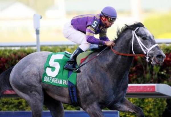 Flashpoint Odds of Winning the 2011 Preakness Stakes