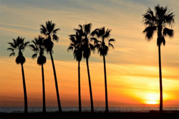 Florida Legalized Online Poker Florida Legalized Online Poker