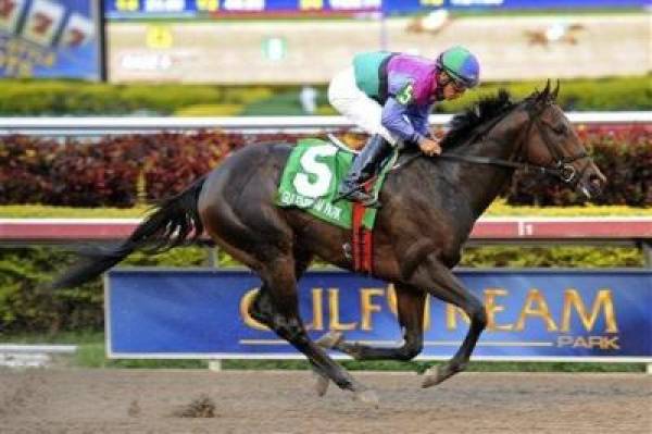 Florida Derby 2013 Betting Odds Florida Derby 2013 Betting Odds