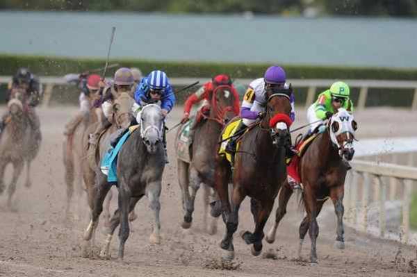 2018 Florida Derby Betting Odds