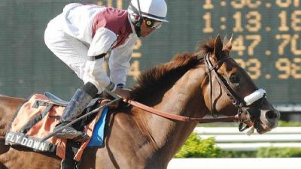 Belmont Stakes 2010 Contenders