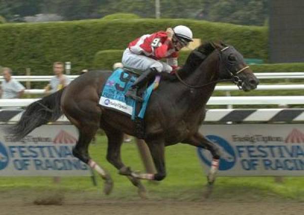 Fort Larned Odds to Win the 2012 Breeders Cup Classic Now at 4-1