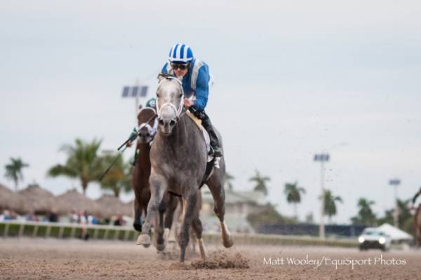 Where to Bet The Fountain of Youth Stakes Online Where to Bet The Fountain of Youth Stakes Online