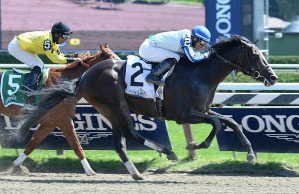 Fountain of Youth Stakes Betting Odds 2015 – Gulfstream Park