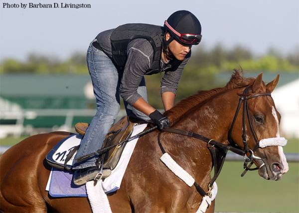 Frammento Kentucky Derby Odds at 53-1 With Stanford Scratched 