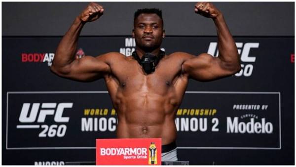 Odds for Ngannou Next Opponent, Division Champs at End of Year and Silva vs. Chavez